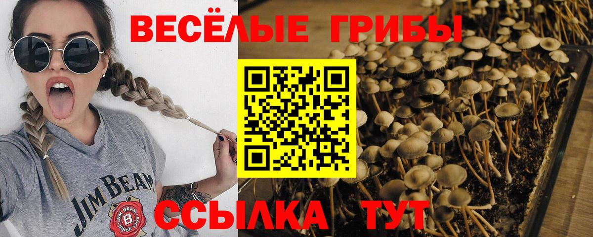 Коммунар  Псилоцибиновые грибы ЛСД  Вход с VPN  купить наркотики сайты  Псилоцибиновые грибы прущие грибы 
