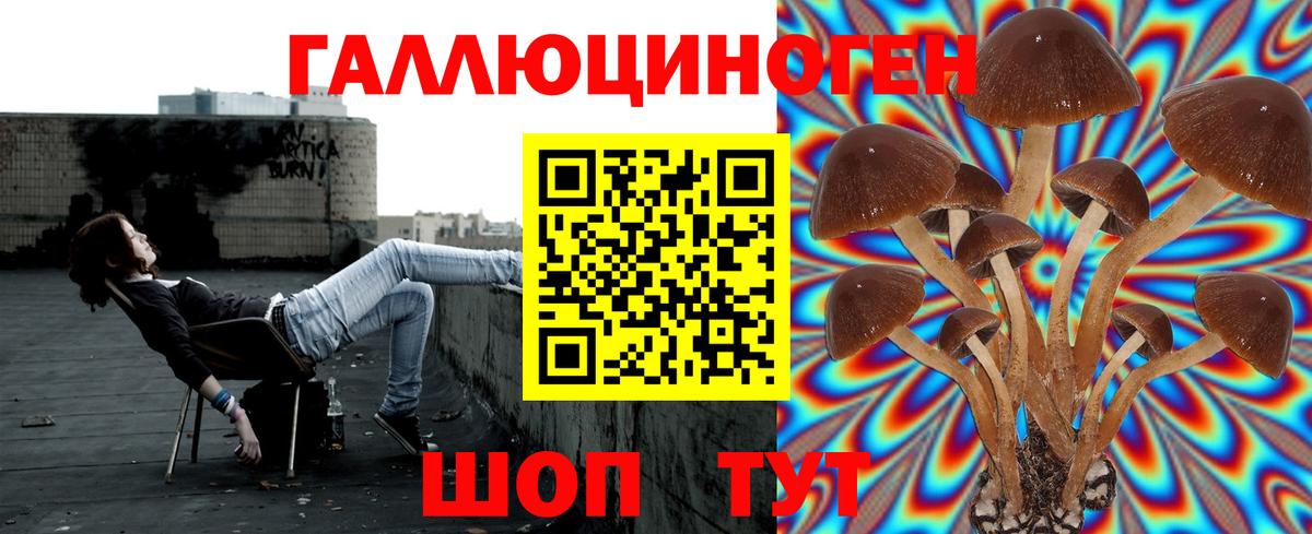 Галлюциногенные грибы Magic Shrooms Коммунар